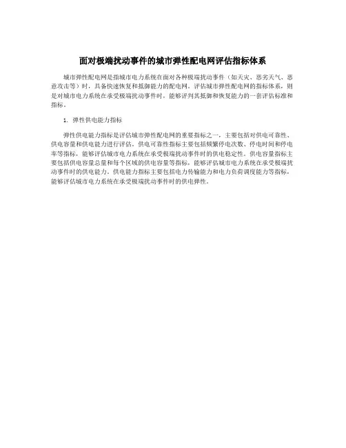 面对极端扰动事件的城市弹性配电网评估指标体系