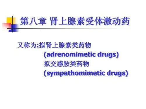 29肾上腺素受体激动药