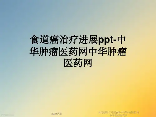 食道癌治疗进展ppt-中华肿瘤医药网中华肿瘤医药网