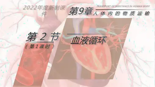 《血液循环》PPT课件(第1课时)