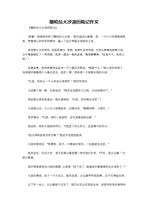 撒哈拉大沙漠历险记作文