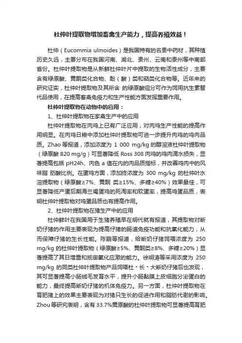 杜仲叶提取物增加畜禽生产能力，提高养殖效益！