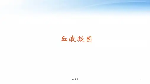 血液凝固  ppt课件