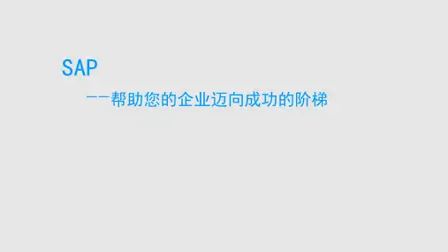 SAP介绍完整详细版PPT课件