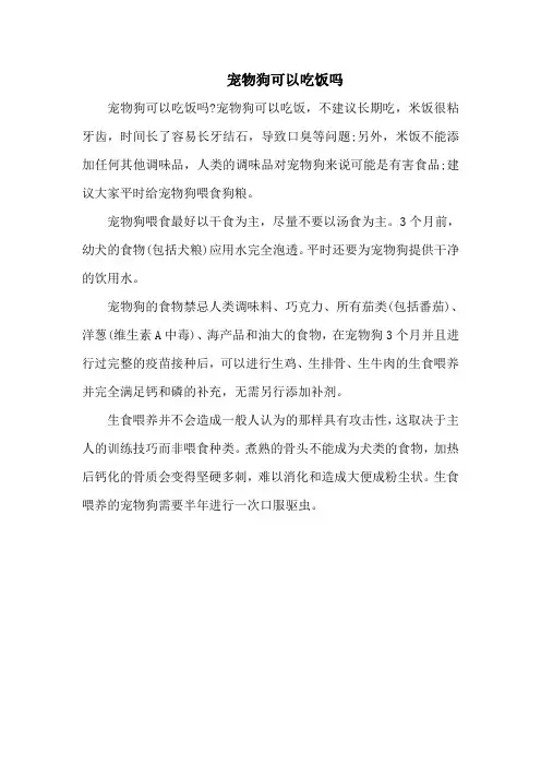 宠物狗可以吃饭吗