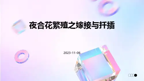 夜合花繁殖之嫁接与扦插