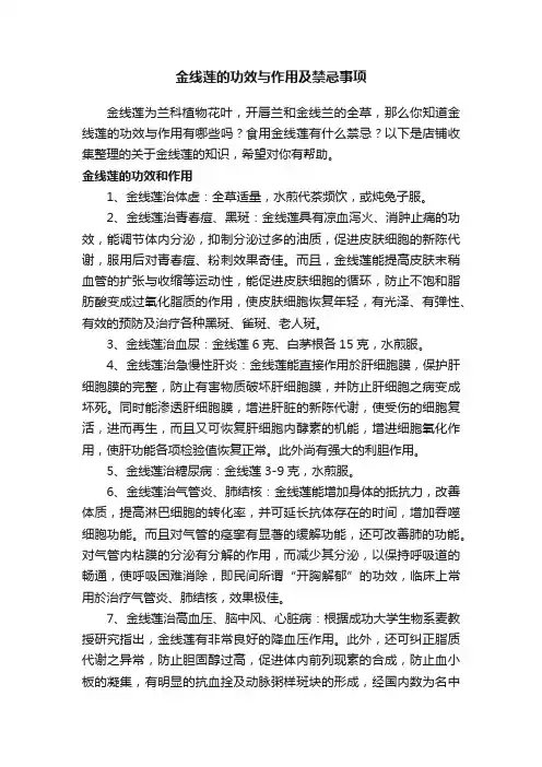 金线莲的功效与作用及禁忌事项