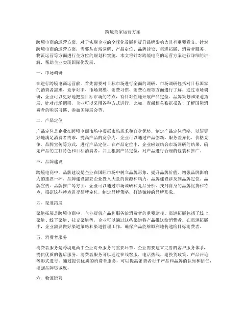 跨境商家运营方案