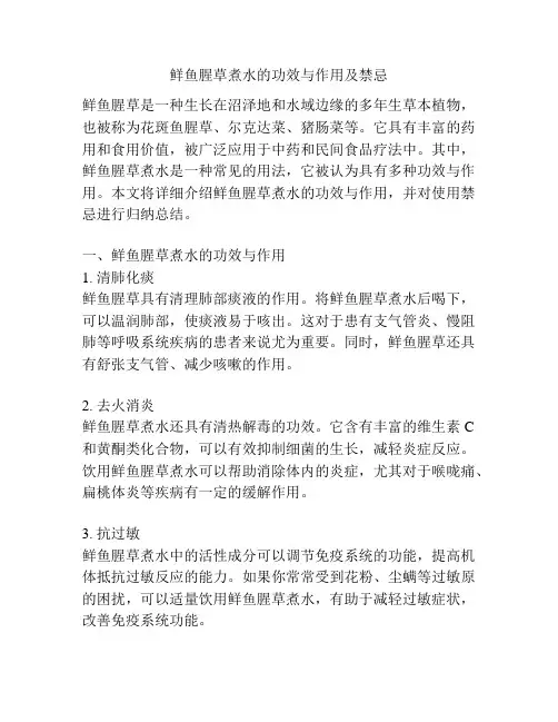 鲜鱼腥草煮水的功效与作用及禁忌