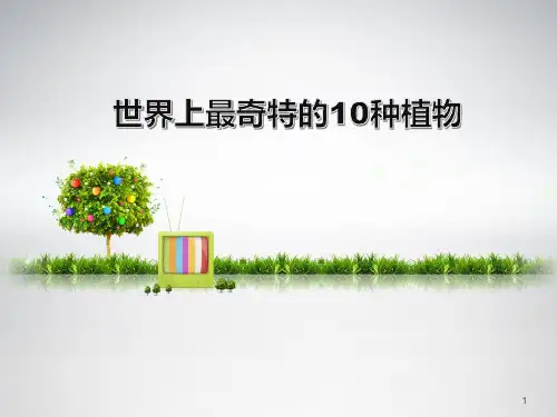 世界上最奇特的10种植物