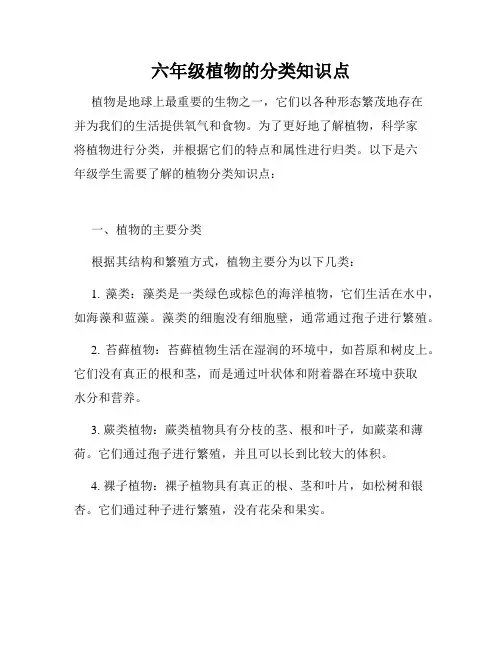 六年级植物的分类知识点
