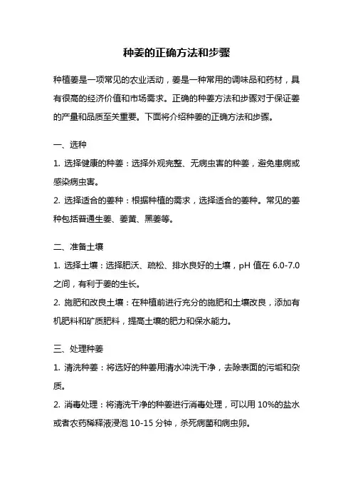 种姜的正确方法和步骤
