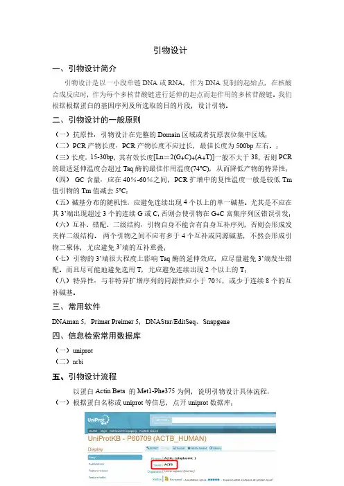 引物设计具体步骤