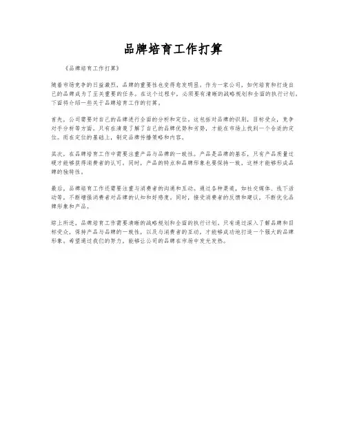 品牌培育工作打算