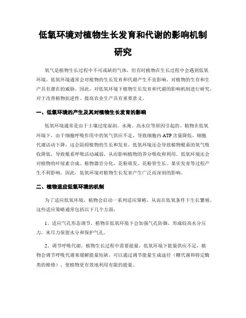 低氧环境对植物生长发育和代谢的影响机制研究