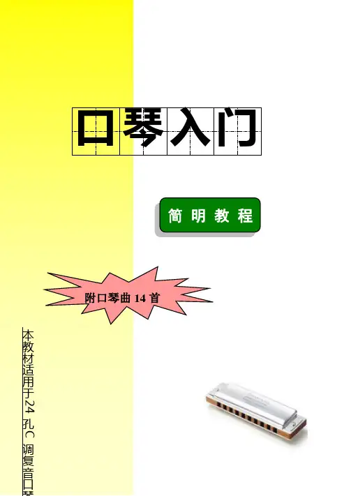 新版口琴入门简明教程24孔C调复音口琴