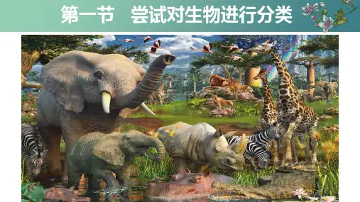 2.4.1尝试对生物进行分类课件2024-2025学年人教版生物七年级上册