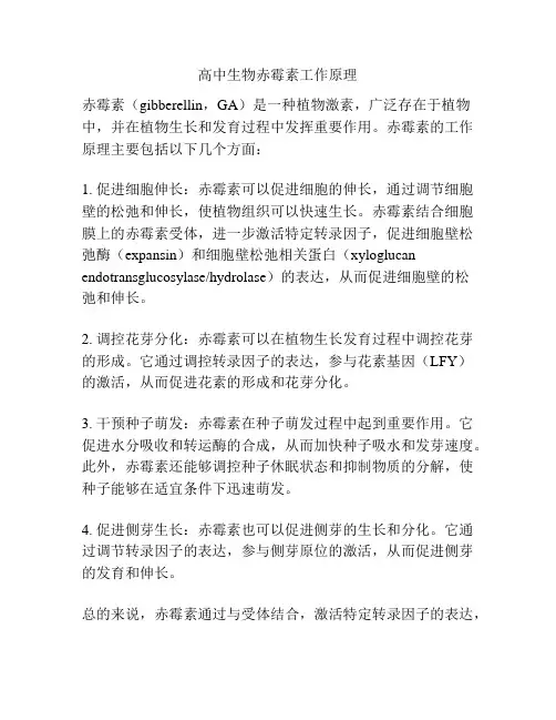 高中生物赤霉素工作原理