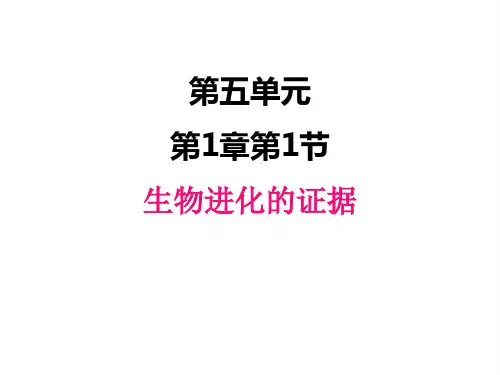 济南版八年级下册生物课件 生物进化的证据
