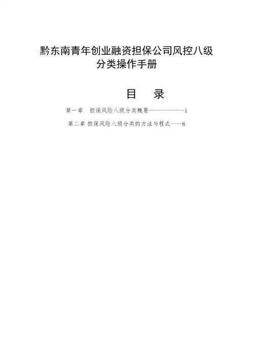 融资担保公司风控八级分类详解 (2)