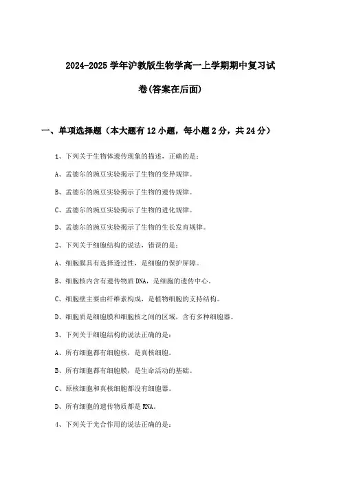 沪教版生物学高一上学期期中试卷及答案指导(2024-2025学年)