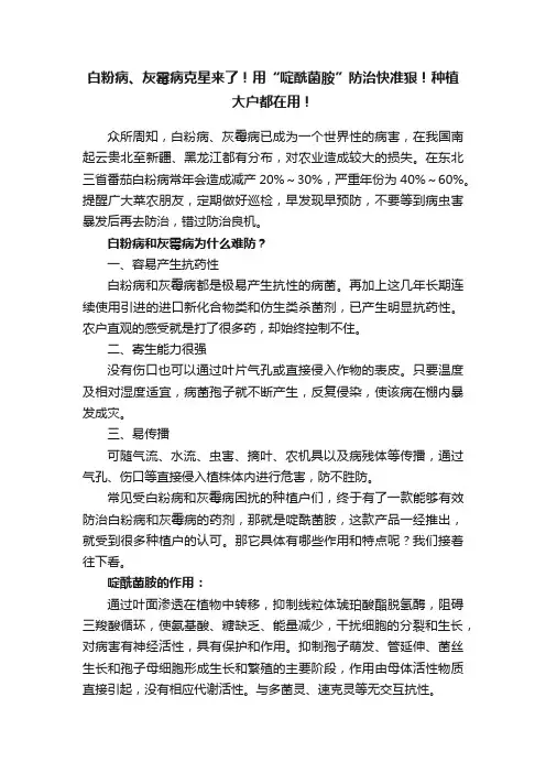 白粉病、灰霉病克星来了！用“啶酰菌胺”防治快准狠！种植大户都在用！