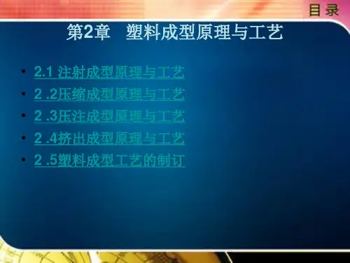 塑料成型原理与工艺