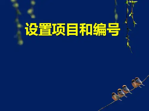 9 设置项目和编号(教学课件)