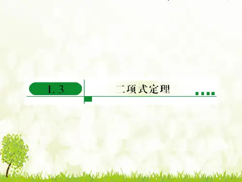 二项式定理---课件