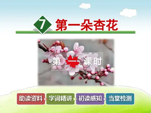 第一朵杏花PPT课件