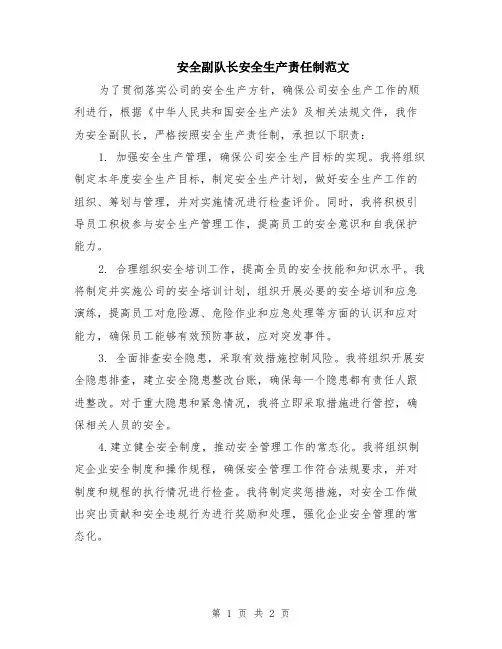 安全副队长安全生产责任制范文