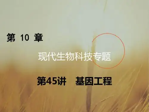 2018年高考生物一轮复习课件：第十章 现代生物科技专