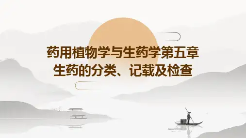 药用植物学与生药学第五章生药的分类、记载及检查