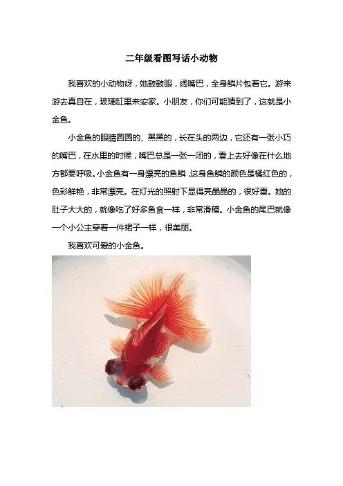 二年级看图写话小动物