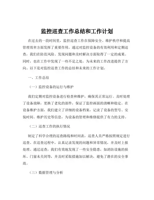 监控巡查工作总结和工作计划