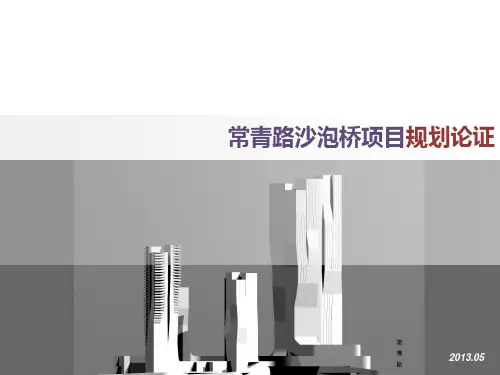 沙包桥项目汇划论证4.29