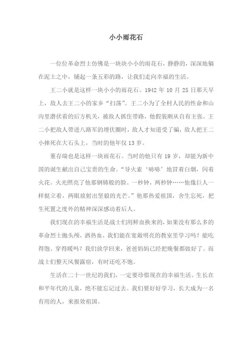 小小雨花石