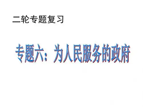 届高考政治二轮复习专题六：为人民服务的政府