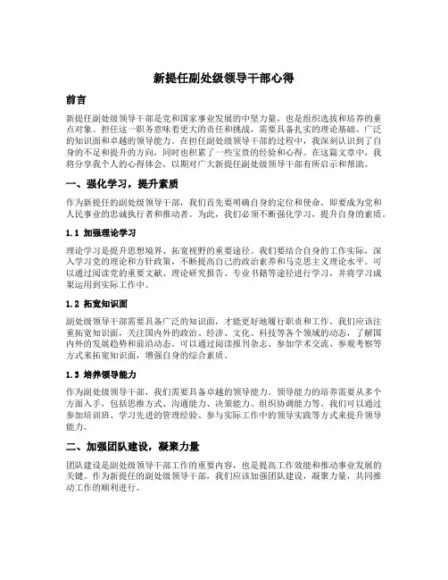 新提任副处级领导干部心得