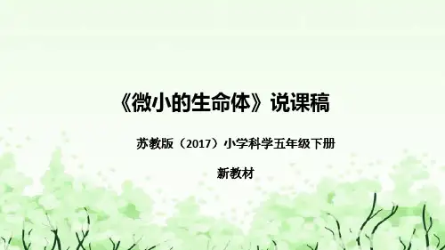 苏教版(2017)小学科学五年下册《微小的生命体》说课(附反思、板书)课件