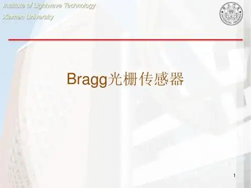 Bragg光栅传感器