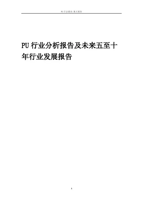 2023年PU行业分析报告及未来五至十年行业发展报告