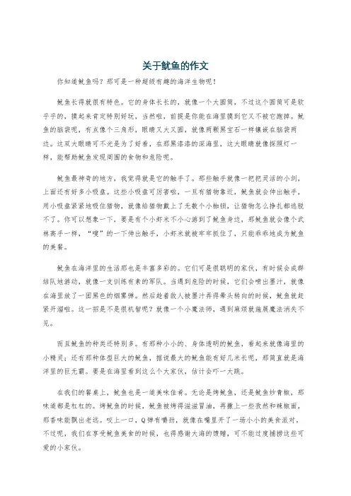 关于鱿鱼的作文