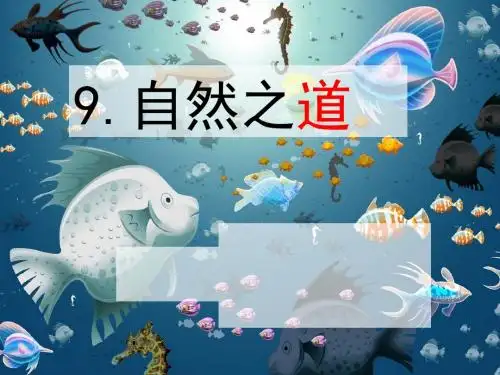 语文人教版四年级下册9课《自然之道》