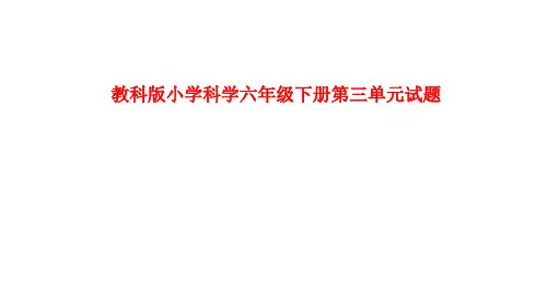 教科版小学科学六年级下册第三单元试卷及答案