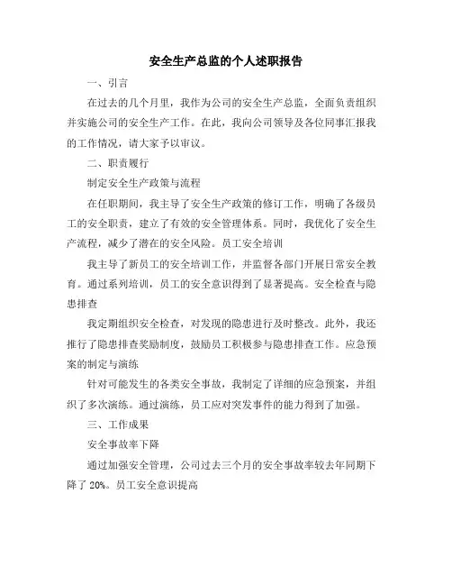 安全生产总监的个人述职报告