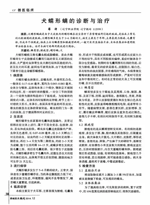 犬蠕形螨的诊断与治疗