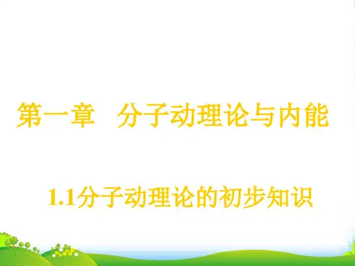 教科九年级物理上册 1.1分子动理论(共28张PPT)