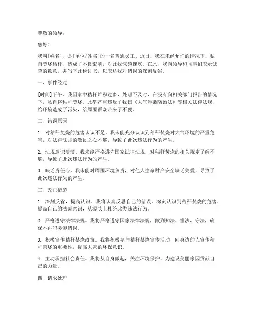 秸秆焚烧检讨书模板范文