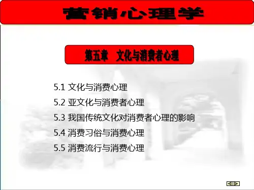 亚文化与消费者心理